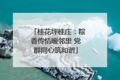 桂花坪桂庄：粽香传情暖邻里 党群同心筑和谐