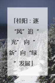 桂阳：逐“风”追“光” 向“新”向“绿”发展