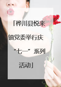 桦川县悦来镇党委举行庆“七一”系列活动