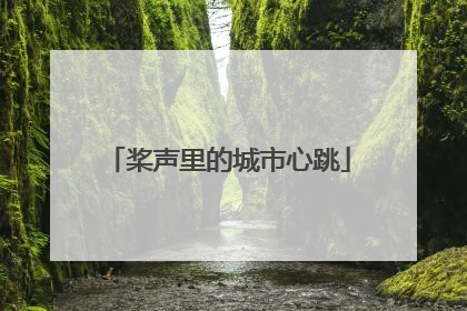 桨声里的城市心跳