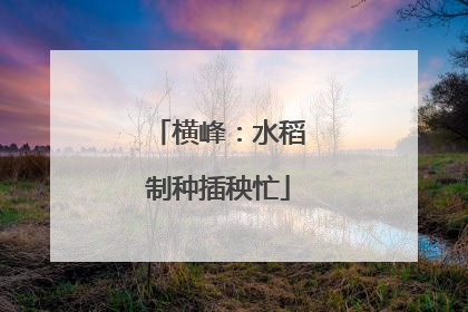 横峰：水稻制种插秧忙