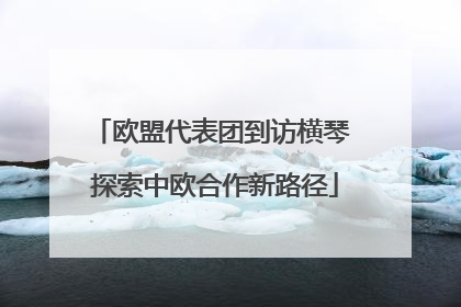 欧盟代表团到访横琴 探索中欧合作新路径