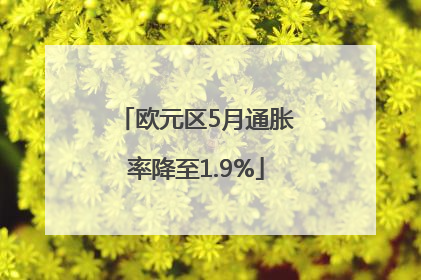 欧元区5月通胀率降至1.9%