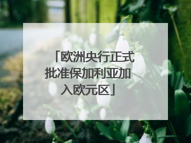 欧洲央行正式批准保加利亚加入欧元区