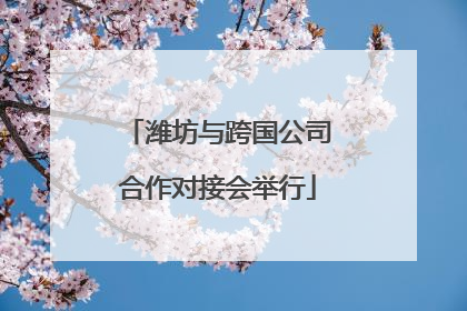 潍坊与跨国公司合作对接会举行