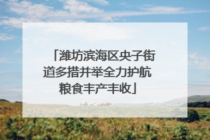 潍坊滨海区央子街道多措并举全力护航粮食丰产丰收