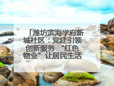 潍坊滨海学府新城社区：党建引领创新服务 “红色物业”让居民生活“幸福满格”