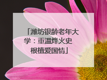 潍坊银龄老年大学：重温烽火史 根植爱国情