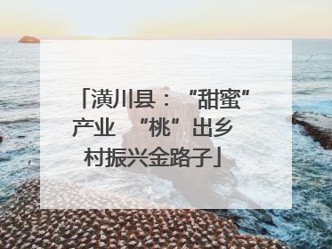 潢川县：“甜蜜”产业  “桃”出乡村振兴金路子