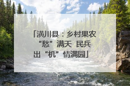 潢川县：乡村果农“愁”满天  民兵出“机”情满园