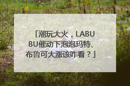 潮玩大火，LABUBU催动下泡泡玛特、布鲁可大涨该咋看？