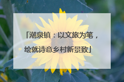 潮泉镇：以文旅为笔，绘就诗意乡村新景致