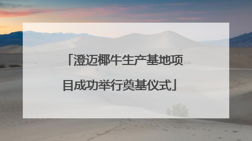 澄迈椰牛生产基地项目成功举行奠基仪式