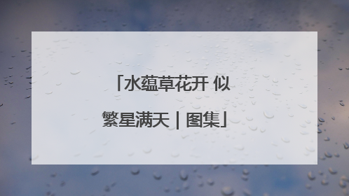 水蕴草花开 似繁星满天｜图集