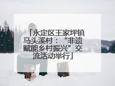 永定区王家坪镇马头溪村：“非遗赋能乡村振兴”交流活动举行