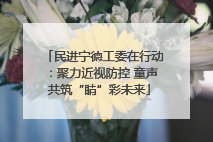 民进宁德工委在行动：聚力近视防控 童声共筑“睛”彩未来