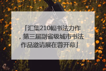 汇集210幅书法力作，第三届副省级城市书法作品邀请展在蓉开幕