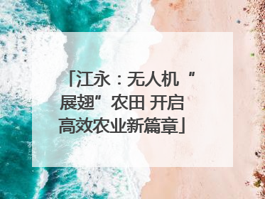 江永：无人机“展翅”农田 开启高效农业新篇章