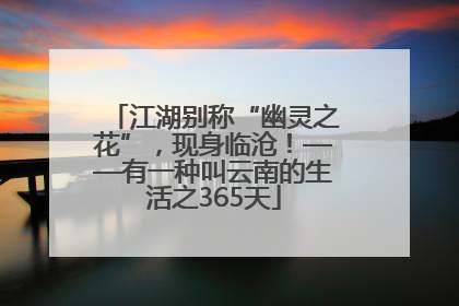 江湖别称“幽灵之花”，现身临沧！——有一种叫云南的生活之365天