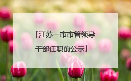 江苏一市市管领导干部任职前公示