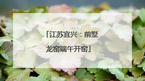 江苏宜兴：前墅龙窑端午开窑
