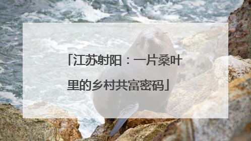 江苏射阳：一片桑叶里的乡村共富密码