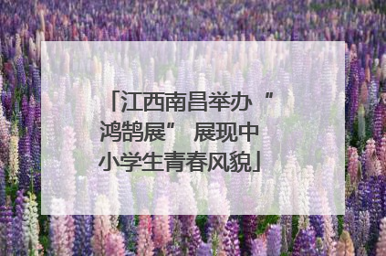 江西南昌举办“鸿鹄展” 展现中小学生青春风貌