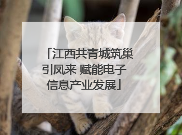 江西共青城筑巢引凤来 赋能电子信息产业发展