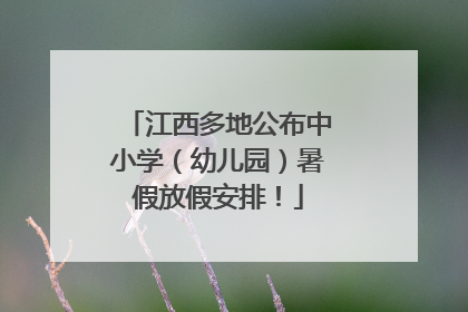 江西多地公布中小学（幼儿园）暑假放假安排！