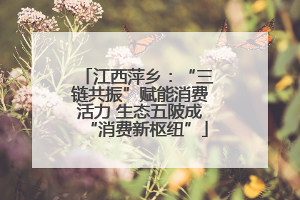 江西萍乡：“三链共振”赋能消费活力 生态五陂成“消费新枢纽”
