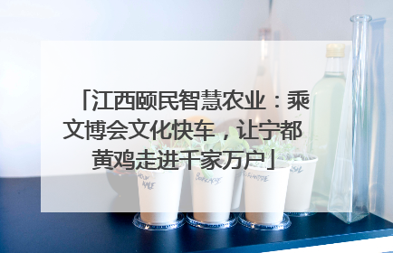 江西颐民智慧农业：乘文博会文化快车，让宁都黄鸡走进千家万户