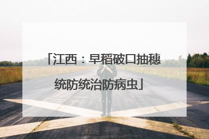 江西：早稻破口抽穗 统防统治防病虫