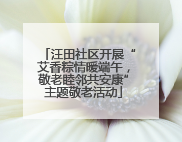 汪田社区开展“艾香粽情暖端午，敬老睦邻共安康”主题敬老活动