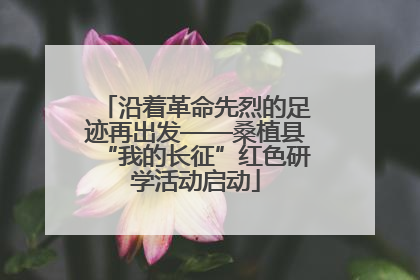 沿着革命先烈的足迹再出发——桑植县“我的长征”红色研学活动启动