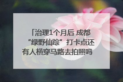 治理1个月后 成都“绿野仙踪”打卡点还有人横穿马路去拍照吗？｜民情瞭望