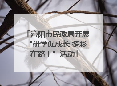 沁阳市民政局开展“研学促成长 多彩在路上”活动