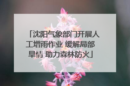 沈阳气象部门开展人工增雨作业 缓解局部旱情 助力森林防火
