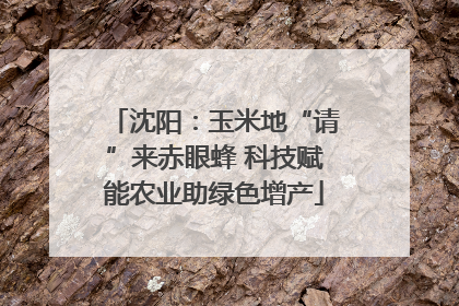 沈阳：玉米地“请”来赤眼蜂 科技赋能农业助绿色增产