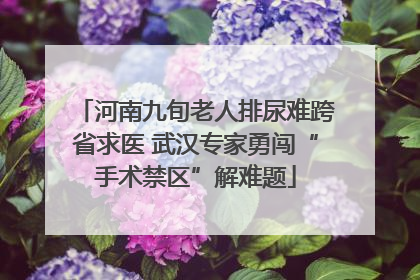 河南九旬老人排尿难跨省求医 武汉专家勇闯“手术禁区”解难题
