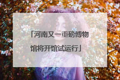河南又一重磅博物馆将开馆试运行