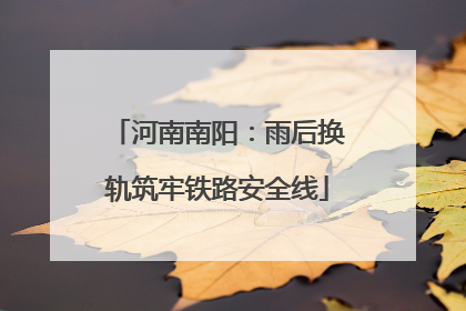 河南南阳：雨后换轨筑牢铁路安全线