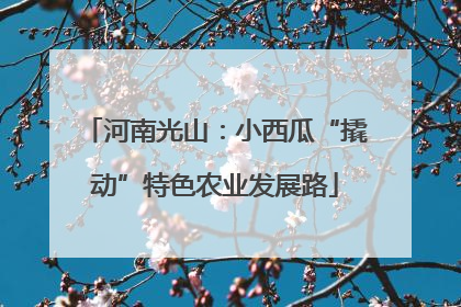 河南光山：小西瓜“撬动”特色农业发展路