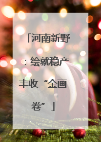 河南新野：绘就稳产丰收“金画卷”