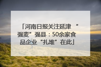 河南日报关注延津 “强麦”强县:50余家食品企业“扎堆”在此
