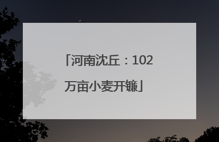 河南沈丘：102 万亩小麦开镰
