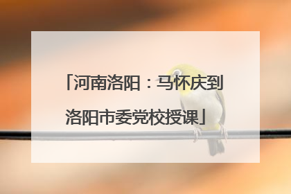河南洛阳：马怀庆到洛阳市委党校授课