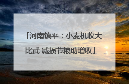河南镇平:小麦机收大比武 减损节粮助增收