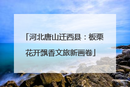 河北唐山迁西县：板栗花开飘香文旅新画卷