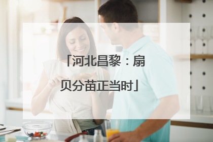 河北昌黎：扇贝分苗正当时