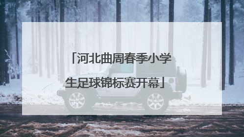 河北曲周春季小学生足球锦标赛开幕